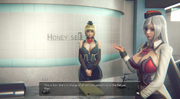 图片[4]-甜心选择2（Honey Select）2 DX 最新整合豪华DLC包合集系列 150GB-优优次元