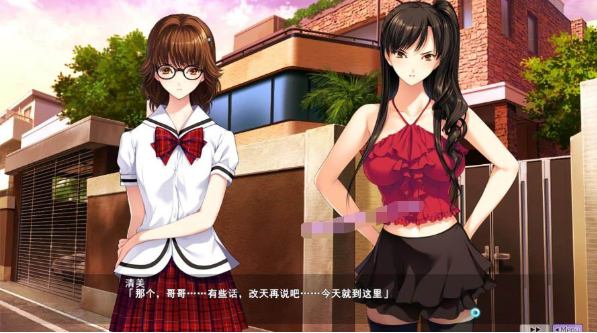 图片[2]-愛姉妹IV-肥宅美梦 PC汉化版+全CG存档-优优次元