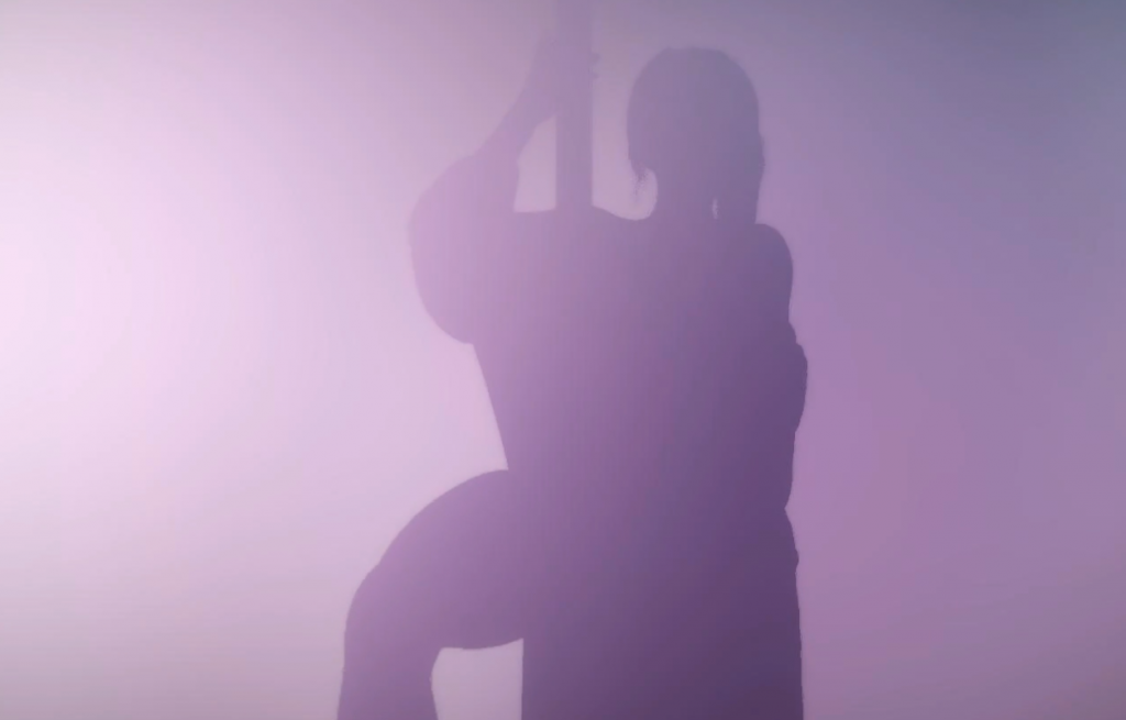 图片[2]-[VAM] 夜店爆御姐：小美钢管舞个人秀 [3D同人/全动态】-优优次元