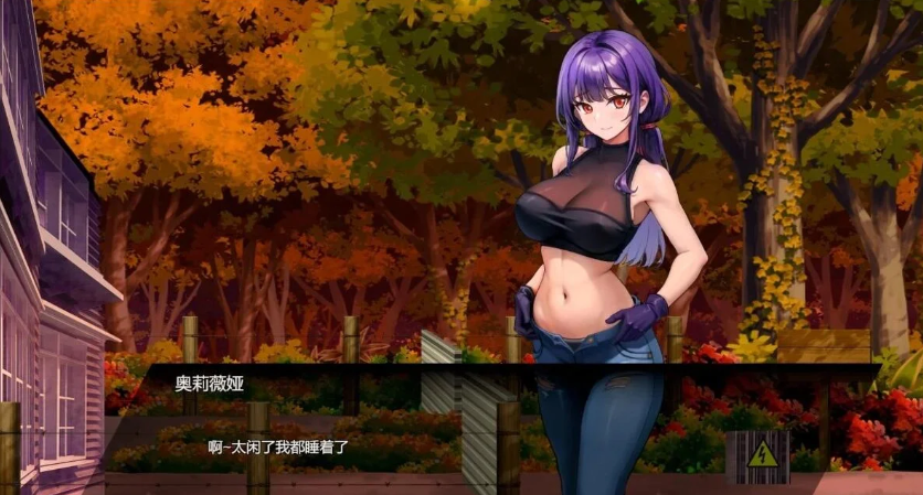 图片[3]-D-Zone V1.02 STEAM官方中文版-优优次元