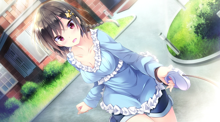 图片[3]-有少女献鸣的爱之奏章 汉化硬盘版-优优次元