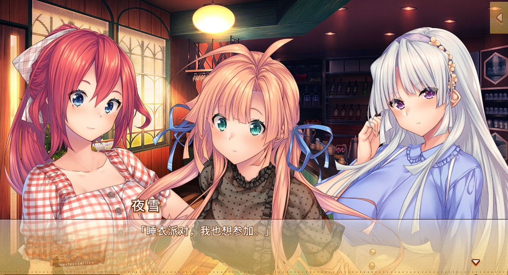 图片[4]-甜蜜夏日（Perfect Edition~）官方中文版-优优次元