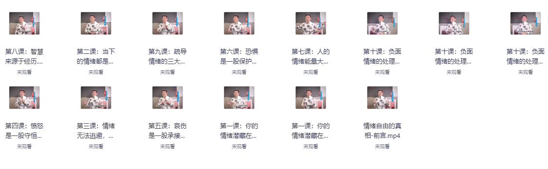 王司机情绪自由课网盘下载|掌控情绪的真相法则全套视频