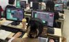 【C点设计教室】两个月PS+AI设计高效训练营30课网盘下载