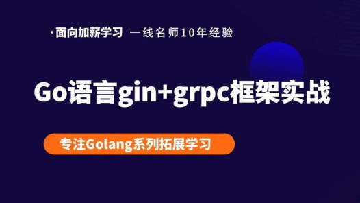 Gin教程Golang+Gin框架入门实战网盘下载|Web开发从零到实战